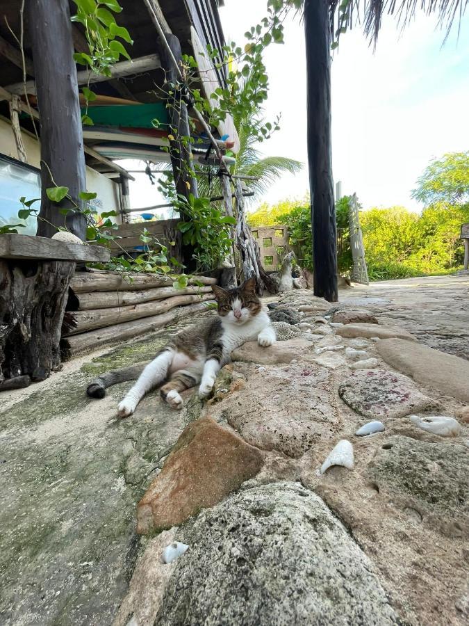 Casa Kayab Hotel Puerto Morelos Kültér fotó